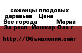 саженцы плодовых деревьев › Цена ­ 6 080 - Все города  »    . Марий Эл респ.,Йошкар-Ола г.